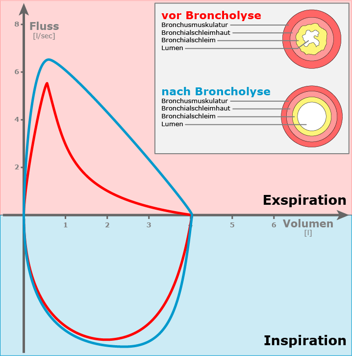 Arztpraxis Dipl.Med. Marion Eggert, Isenbüttel, Gesundheitszentrum